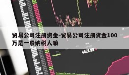 贸易公司注册资金-贸易公司注册资金100万是一般纳税人嘛