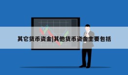 其它货币资金|其他货币资金主要包括