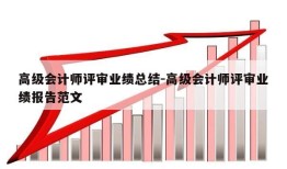 高级会计师评审业绩总结-高级会计师评审业绩报告范文