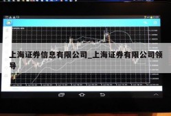 上海证券信息有限公司_上海证券有限公司领导