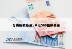 分级指数基金_中证500指数基金