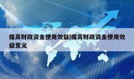 提高财政资金使用效益|提高财政资金使用效益意义