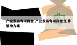 产业发展专项资金-产业发展专项资金 汇算清缴方案