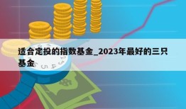 适合定投的指数基金_2023年最好的三只基金