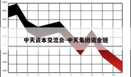 中天资本交流会-中天集团资金链