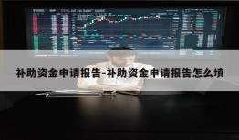 补助资金申请报告-补助资金申请报告怎么填