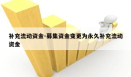 补充流动资金-募集资金变更为永久补充流动资金