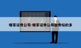 哪家证券公司-哪家证券公司融券标的多