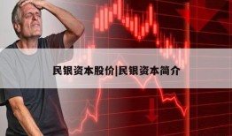 民银资本股价|民银资本简介