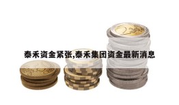 泰禾资金紧张,泰禾集团资金最新消息