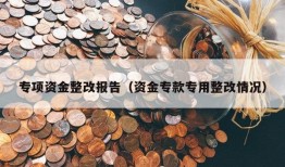 专项资金整改报告（资金专款专用整改情况）