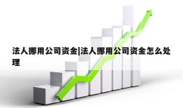 法人挪用公司资金|法人挪用公司资金怎么处理