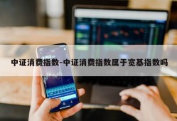 中证消费指数-中证消费指数属于宽基指数吗