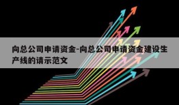 向总公司申请资金-向总公司申请资金建设生产线的请示范文