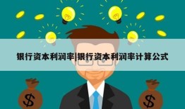 银行资本利润率|银行资本利润率计算公式