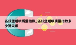 匹兹堡睡眠质量指数_匹兹堡睡眠质量指数多少算失眠