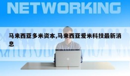 马来西亚多米资本,马来西亚爱米科技最新消息