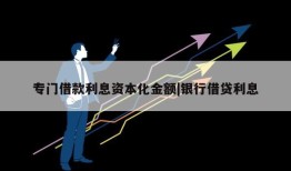 专门借款利息资本化金额|银行借贷利息