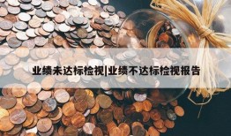 业绩未达标检视|业绩不达标检视报告