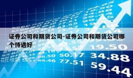 证券公司和期货公司-证券公司和期货公司哪个待遇好