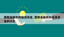 套取金融机构信贷资金_套取金融机构信贷资金的认定