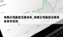 有限公司最低注册资本_有限公司最低注册资本货币出资