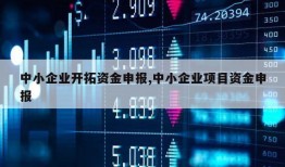 中小企业开拓资金申报,中小企业项目资金申报