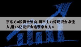 京东方a股资金流向,两市主力惊现资金净流入,近15亿元资金追涨京东方a