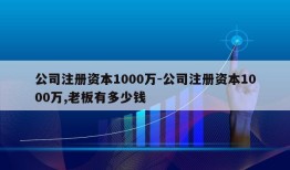 公司注册资本1000万-公司注册资本1000万,老板有多少钱