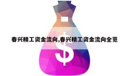 春兴精工资金流向,春兴精工资金流向全览