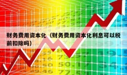 财务费用资本化（财务费用资本化利息可以税前扣除吗）