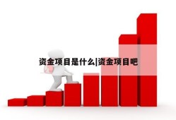 资金项目是什么|资金项目吧