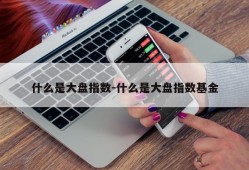 什么是大盘指数-什么是大盘指数基金