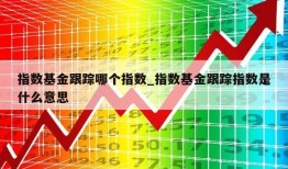 指数基金跟踪哪个指数_指数基金跟踪指数是什么意思