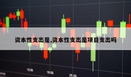 资本性支出是,资本性支出是项目支出吗