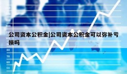 公司资本公积金|公司资本公积金可以弥补亏损吗