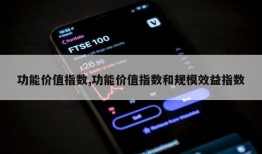 功能价值指数,功能价值指数和规模效益指数