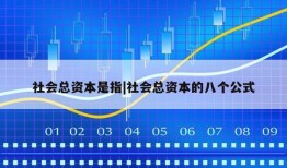 社会总资本是指|社会总资本的八个公式