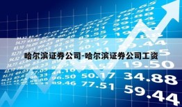 哈尔滨证券公司-哈尔滨证券公司工资