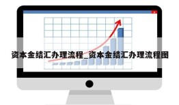 资本金结汇办理流程_资本金结汇办理流程图