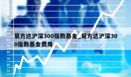 易方达沪深300指数基金_易方达沪深300指数基金费用