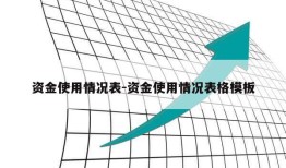 资金使用情况表-资金使用情况表格模板