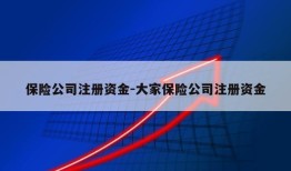 保险公司注册资金-大家保险公司注册资金