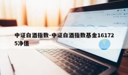 中证白酒指数-中证白酒指数基金161725净值