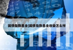 国债指数基金|国债指数基金收益怎么样