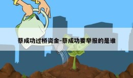 蔡成功过桥资金-蔡成功要举报的是谁