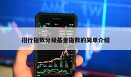 招行指数分级基金指数的简单介绍