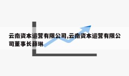 云南资本运营有限公司,云南资本运营有限公司董事长薛琳