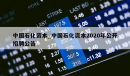 中国石化资本_中国石化资本2020年公开招聘公告