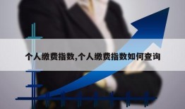 个人缴费指数,个人缴费指数如何查询